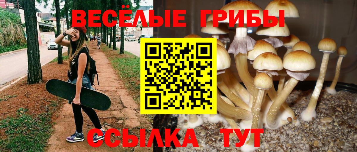 Псилоцибиновые грибы ЛСД Десногорск