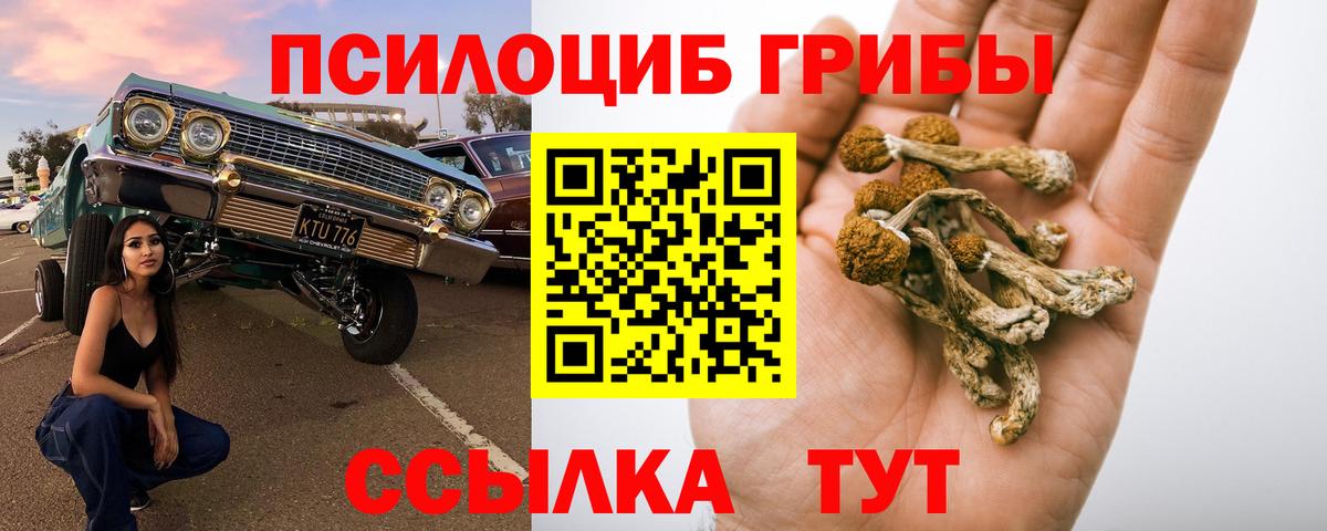Десногорск  Псилоцибиновые грибы прущие грибы  что такое наркотик  Псилоцибиновые грибы Cubensis  Вход с VPN 